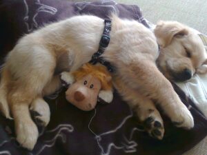 Finja ist bei uns angekommen