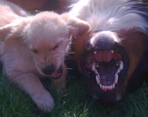 Finja ist Fithe gegenüber anfangs sehr frech.