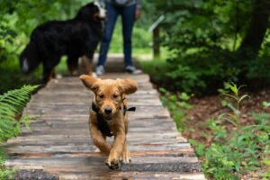 Jette entdeckt die Welt