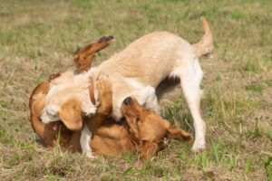 Jette und ihre Schwester beim Spielen