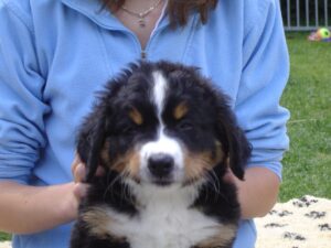 Fithe am Tag der Abholung