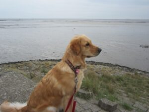 Finjas letzter Urlaub