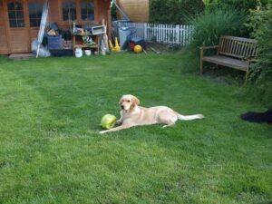 Auf diesem Bild ist Finja etwa 6 Jahre alt und spielt noch immer gerne.