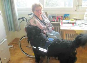 Fithe wurde immer freudig erwartet und begrüßt.