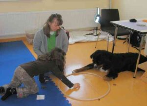 Das Mädchen legt das Leckerli in den Ring, während Fithe wartet