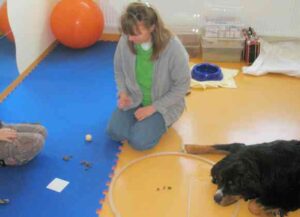 Zu Beginn erkläre ich die Regeln, während Fithe geduldig wartet