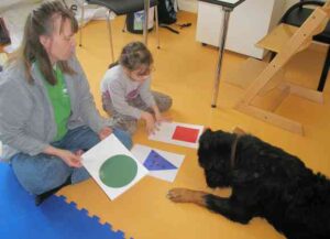 Fithe frisst die Leckerlis vom Feld "Das"