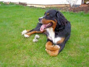 So lag Fithe am liebsten